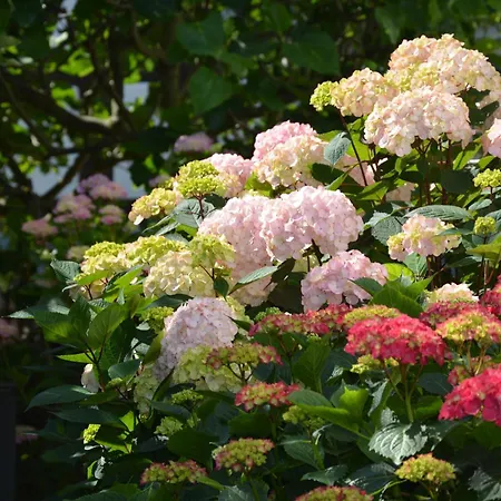 1534 Semesterbostad Neustadt an der Weinstraße