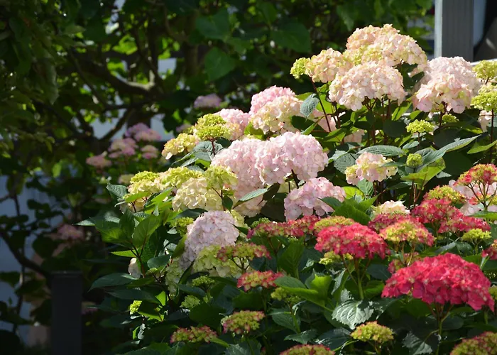 1534 Prázdninový dům Neustadt an der Weinstraße